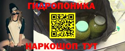 прущие грибы Донской
