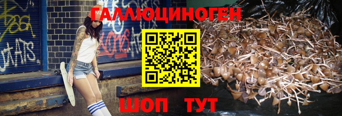 Галлюциногенные грибы MAGIC MUSHROOMS Котельники