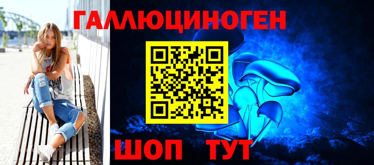 Котельники  Псилоцибиновые грибы прущие грибы  Вход с VPN 